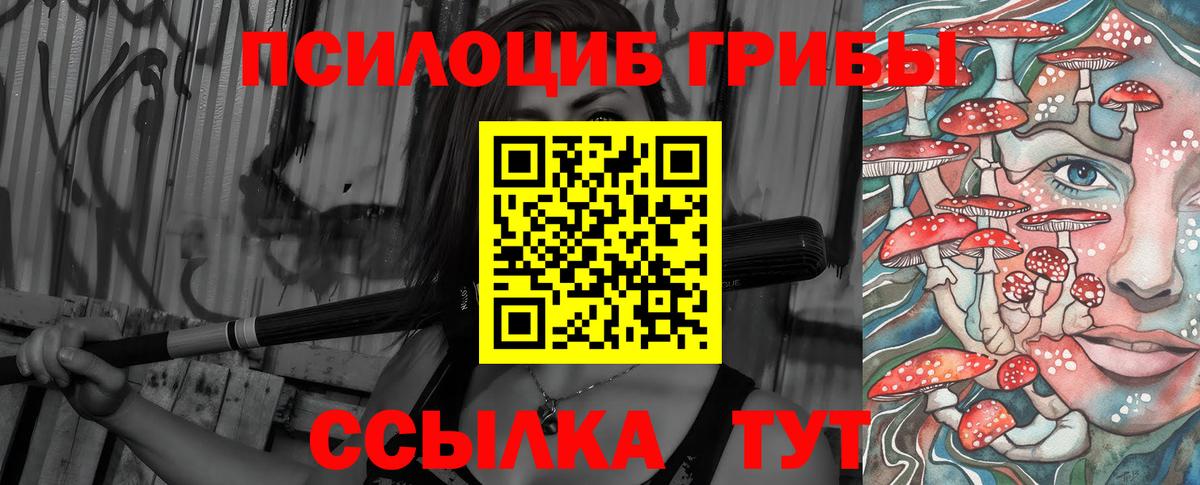 Снежинск  Псилоцибиновые грибы Psilocybine cubensis  Вход с VPN 